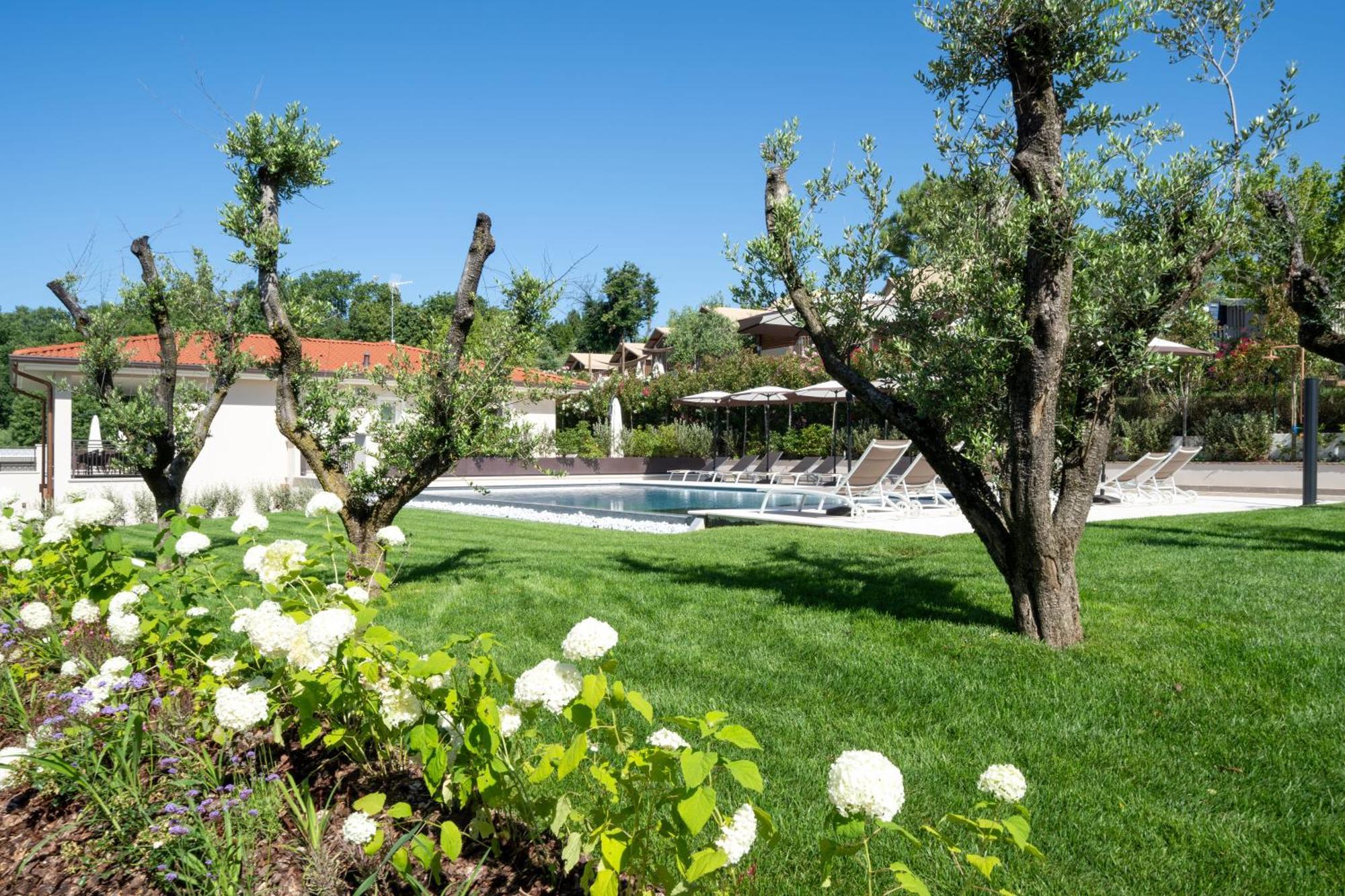 Villa Silvia Apartments San Felice del Benaco Exteriér fotografie